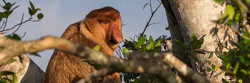 Malaysia - Schmelztiegel Asiens