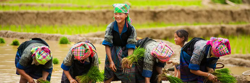 Vietnam - Reisterrassen und Bergfeen 