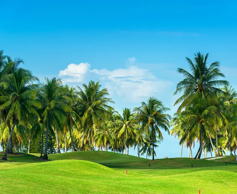 iStock-610656432.jpg