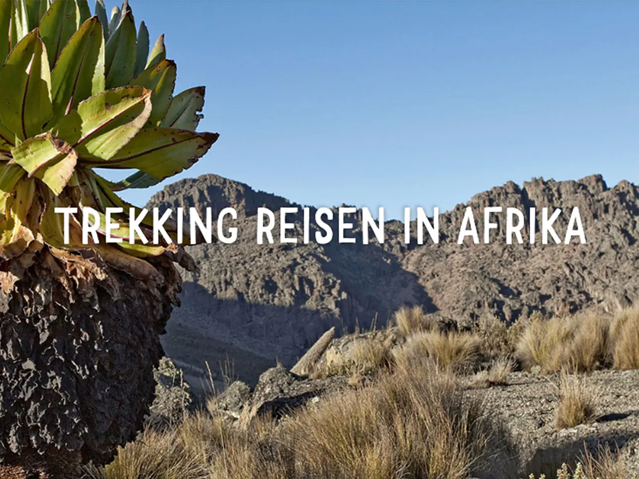 Trekking Reisen in Afrika