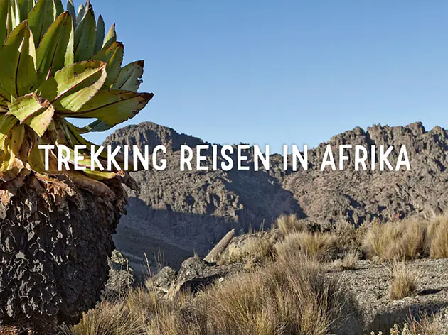 Trekking Reisen in Afrika