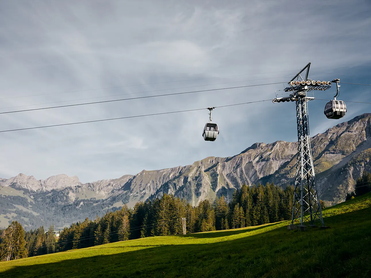 Moorwelten Rossweid