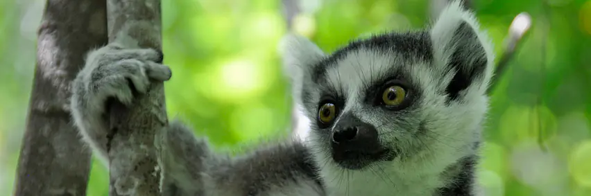 Madagaskar - Verstecktes Paradies – eine andere Welt