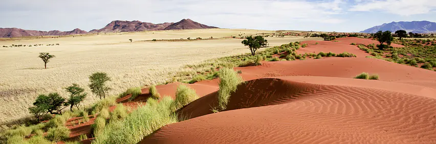 Namibia - Land der Kontraste – endlose Horizonte	