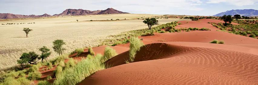 Namibia -Land der Kontraste – endlose Horizonte