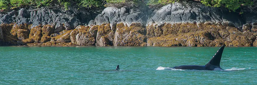 Westkanada - Vancouver Island 