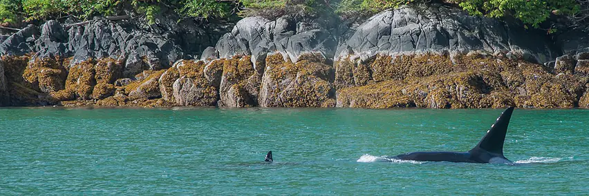 Westkanada - Vancouver Island