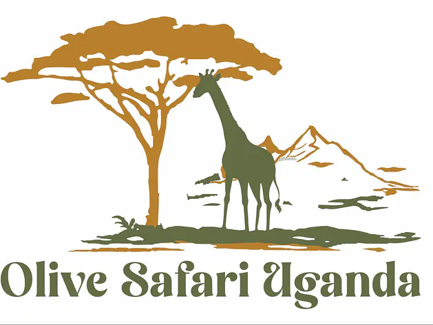 Olive Safari Uganda