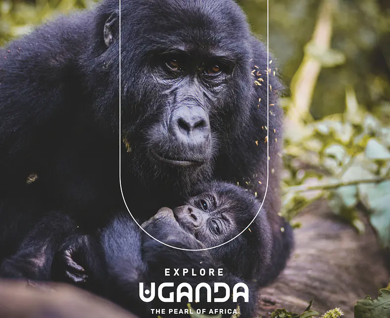 Gorilla small.png