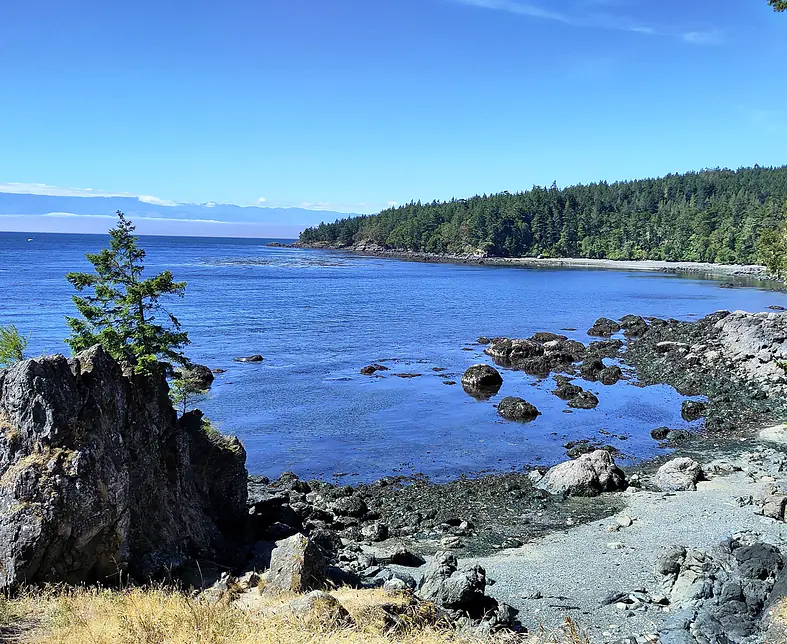 Teaser 005 IMG_20250712_105530.jpg