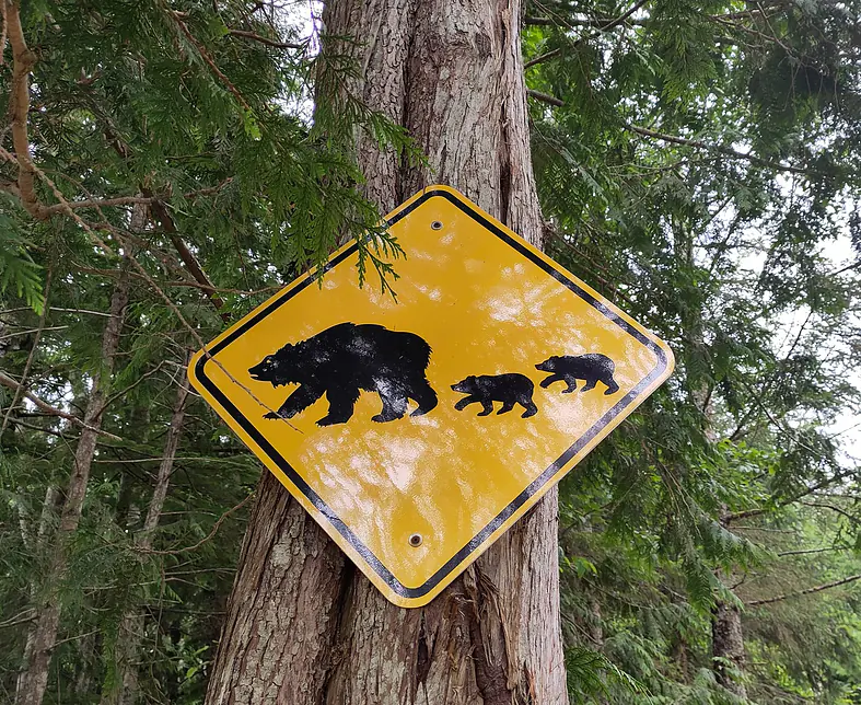 Teaser 013 IMG_20250720_091335.jpg