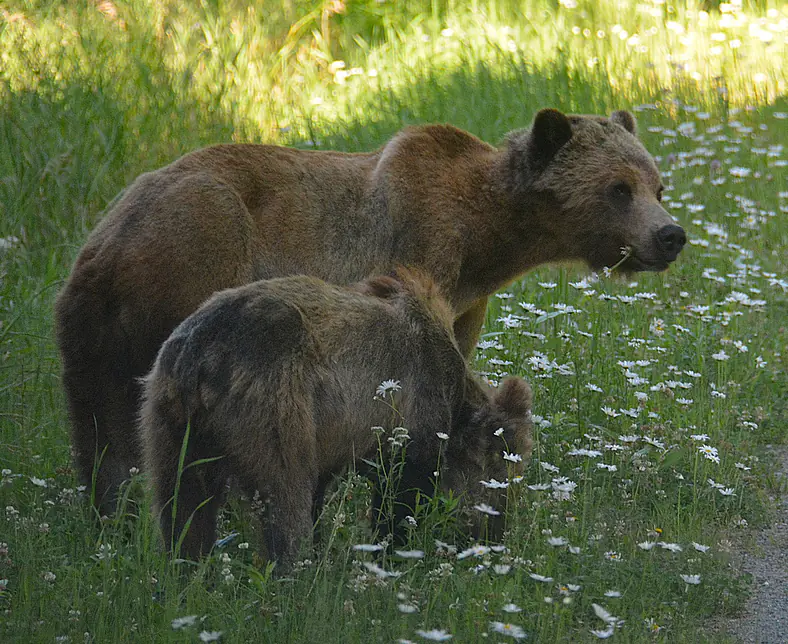 Teaser 021 DSC_0766 bearbeitet.JPG