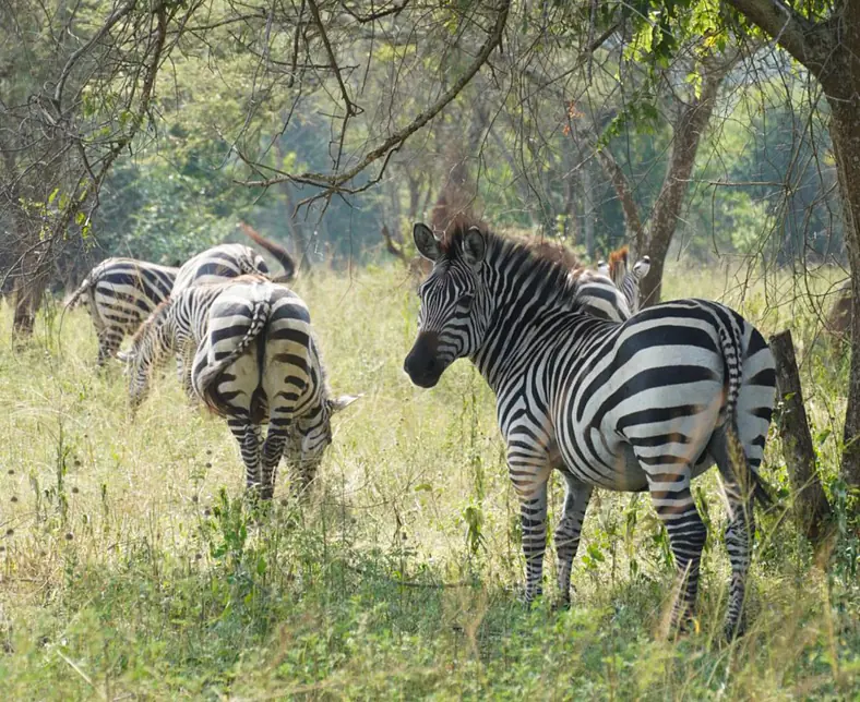 WhatsApp Image 2025-10-16 at 19.41.42 (2).jpeg