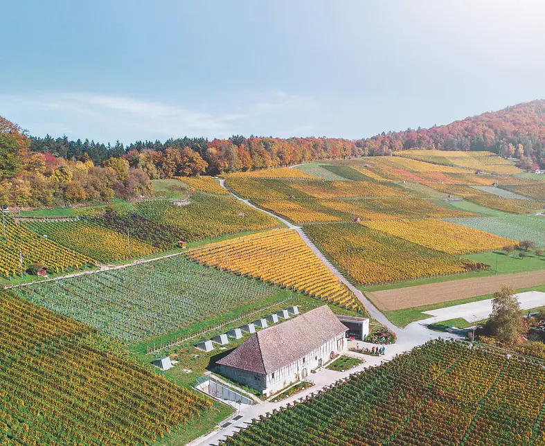 bergtrotte-visual-cut_Fabian Müller.jpg