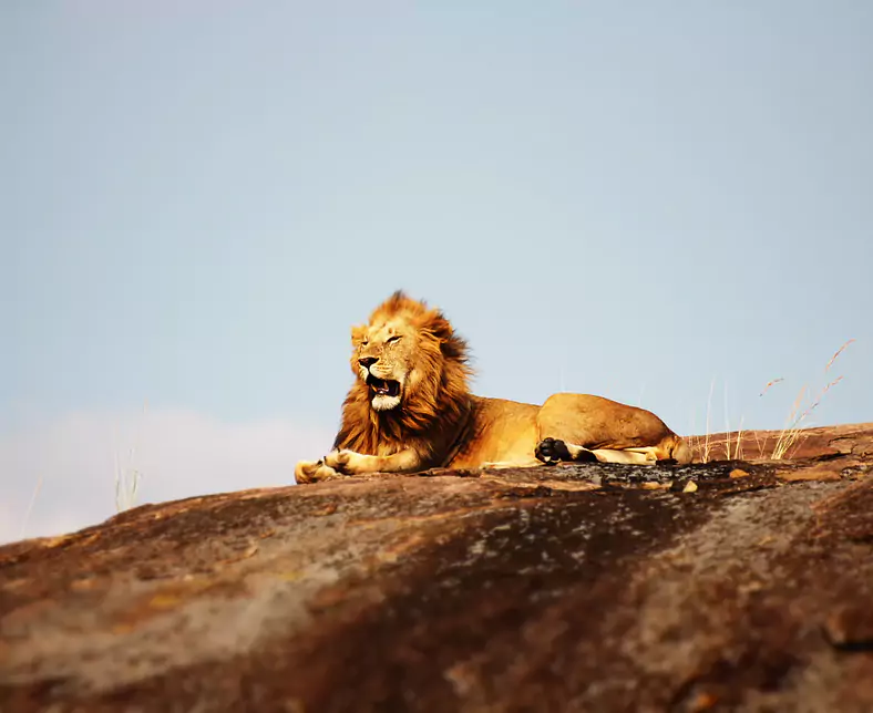Serengeti Nationalpark_Tansania.jpg