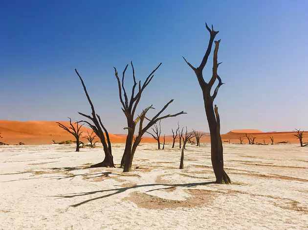 Namibia's Highlights